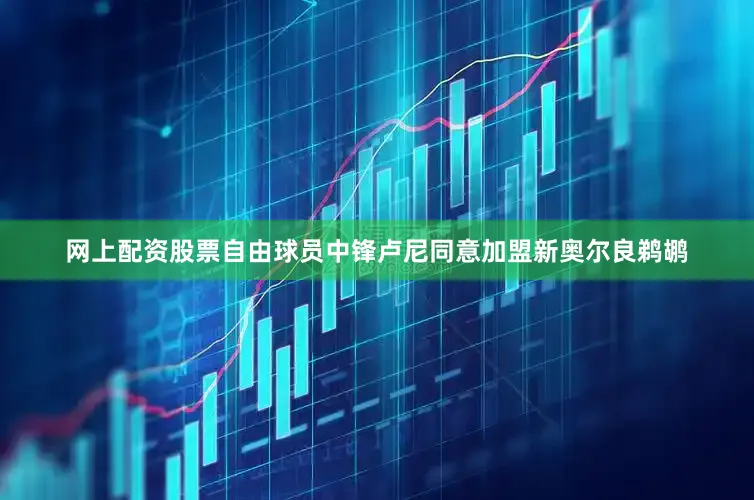 网上配资股票自由球员中锋卢尼同意加盟新奥尔良鹈鹕