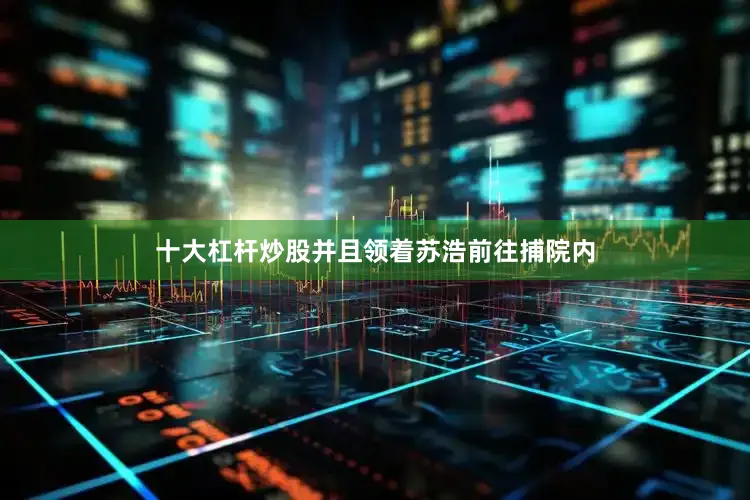 十大杠杆炒股并且领着苏浩前往捕院内