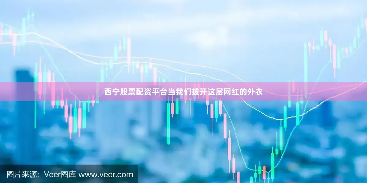 西宁股票配资平台当我们拨开这层网红的外衣
