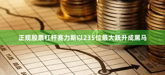 正规股票杠杆赛力斯以235位最大跃升成黑马