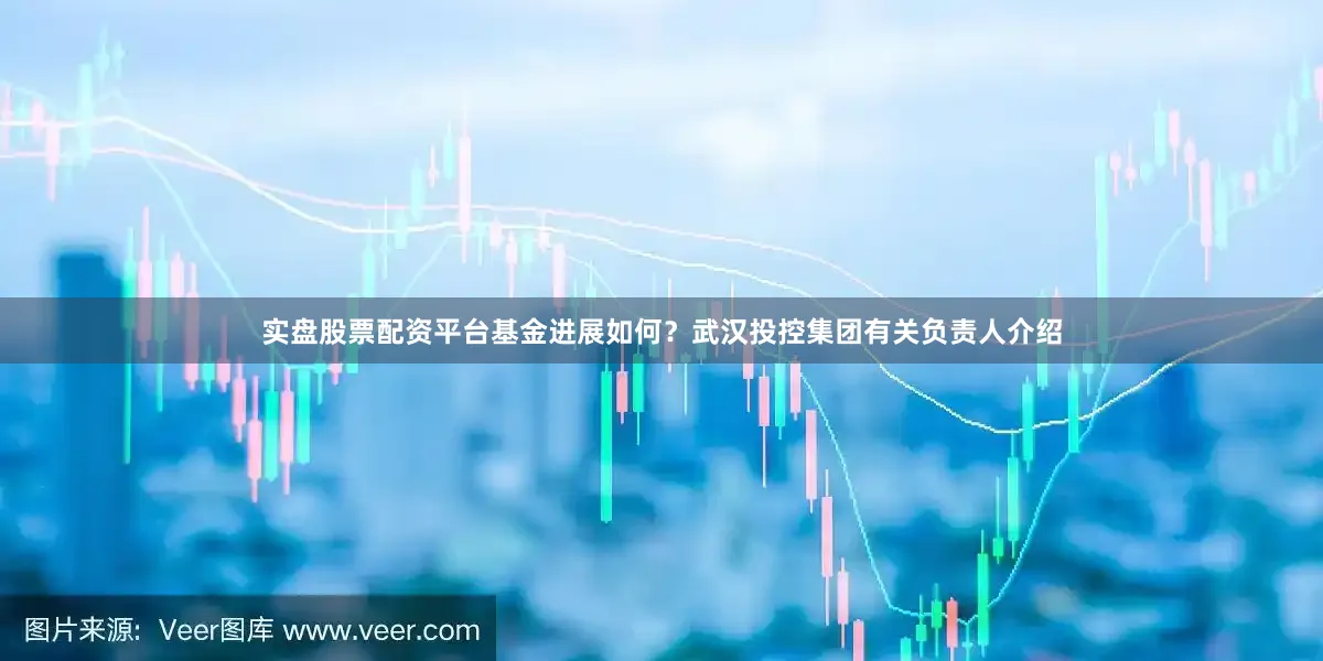 实盘股票配资平台基金进展如何？武汉投控集团有关负责人介绍