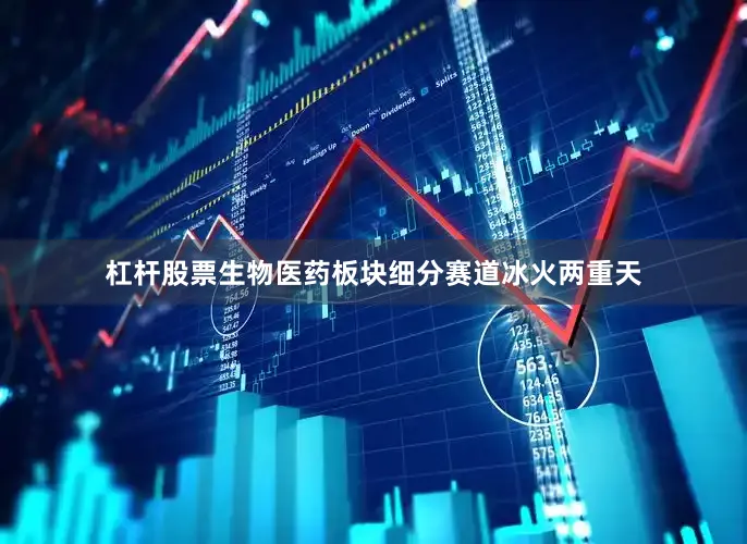 杠杆股票生物医药板块细分赛道冰火两重天