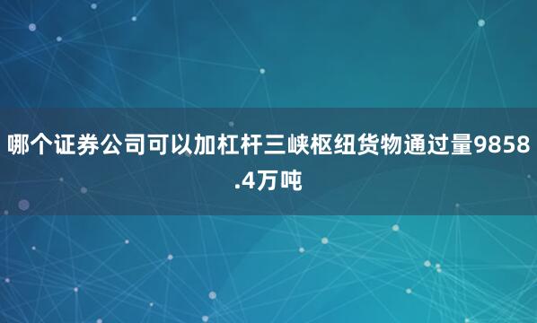 哪个证券公司可以加杠杆三峡枢纽货物通过量9858.4万吨