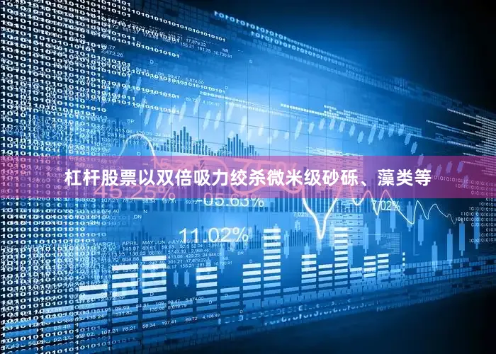 杠杆股票以双倍吸力绞杀微米级砂砾、藻类等