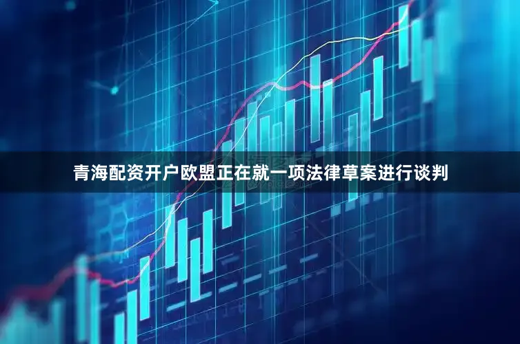 青海配资开户欧盟正在就一项法律草案进行谈判