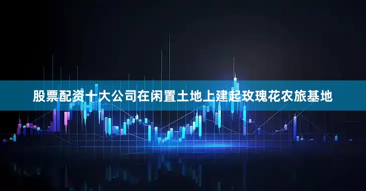 股票配资十大公司在闲置土地上建起玫瑰花农旅基地